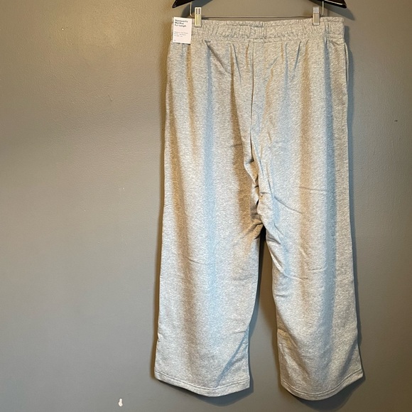 NWT Nike Sz 1X Women’s Grey Standard Fit Mid Rise Full Length Sweatpants Ret $60 - Picture 15 of 16
